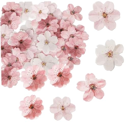 50pcs essbare Blumen Kuchen Toper Wafer Papier Kirschblütenblumen Hochzeit Themenparty Geburtstagstorte Dekoration Supplies 50pcs essbare Blumen Kuchen Toper Wafer Papier Kirschblütenblumen Hochzeit Themenparty Geburtstagstorte Dekoration Supplies von AZIDWERYQ