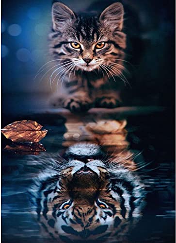 Aapxi Malen Nach Zahlen Erwachsene Tiere- AnfäNger Kinder Malen Nach Zahlen für Katze und Tiger 4 HolzbüRsten und Acrylfarbe Faltenfreie Leinwand 40 X 50 cm Aapxi Malen Nach Zahlen Erwachsene Tiere- AnfäNger Kinder Malen Nach Zahlen für Katze und Tiger 4 HolzbüRsten und Acrylfarbe Faltenfreie Leinwand 40 X 50 cm von Aapxi
