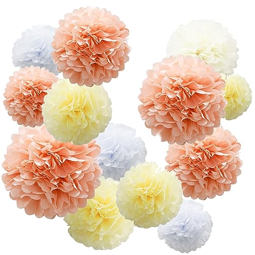 15 Stück Seidenpapier Pompons Deko,Seidenpapier Pompons für Hochzeitsparty-Dekorationen,Pompoms Dekoration,deko geburtstag,SeidenpapierPompons Papier Blume,Hochzeitsdeko,Einschulung Deko 15 Stück Seidenpapier Pompons Deko,Seidenpapier Pompons für Hochzeitsparty-Dekorationen,Pompoms Dekoration,deko geburtstag,SeidenpapierPompons Papier Blume,Hochzeitsdeko,Einschulung Deko von Aatpuss