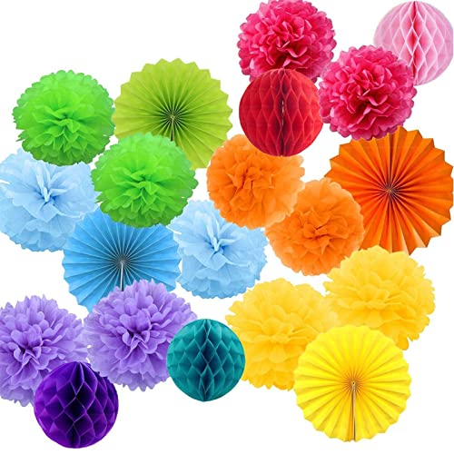 Aatpuss 20 Stücke Bunt Deko Seidenpapier Pompons, Dekorpapier Blumenpuscheln Papier, Seidenpapier Pompoms, für Hauptdekorationen Hochzeit Geburtstag Festival Weihnachten von Aatpuss