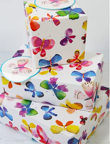 Abacus Cards 12366A Geschenkpapier mit Schmetterlingen, mit 2 Bögen und 2 Etiketten, plastikfrei, mehrfarbig Abacus Cards 12366A Geschenkpapier mit Schmetterlingen, mit 2 Bögen und 2 Etiketten, plastikfrei, mehrfarbig von Abacus Cards
