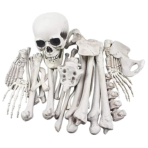 Abaodam 28 Stück Halloween-Skelettknochen Und Totenkopf-Dekoration Menschliches Skelett Für Spukhaus Rasen Hofdekoration Totenkopf Gruselige Szene Abaodam 28 Stück Halloween-Skelettknochen Und Totenkopf-Dekoration Menschliches Skelett Für Spukhaus Rasen Hofdekoration Totenkopf Gruselige Szene von Abaodam