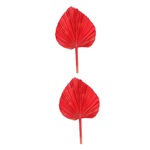 Abaodam 2stücke Künstliche Palmblatt-Dekoration Im Fächerdesign Hochzeitsdeko Und Gartenaccessoire Farbige Getrocknete Für Sommerpartys Und Stilvolle Inneneinrichtung Natürliche Abaodam 2stücke Künstliche Palmblatt-Dekoration Im Fächerdesign Hochzeitsdeko Und Gartenaccessoire Farbige Getrocknete Für Sommerpartys Und Stilvolle Inneneinrichtung Natürliche von Abaodam