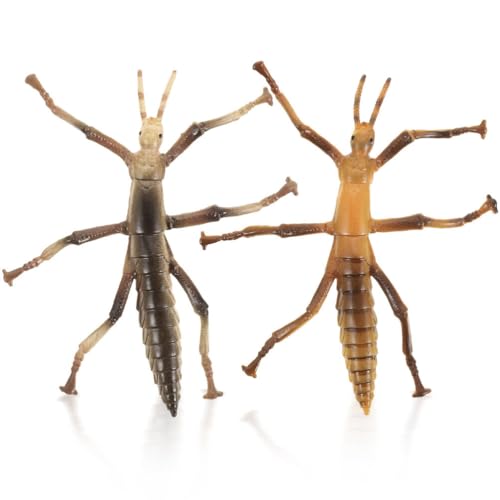 Abaodam Simulations-Stabheuschrecken-Modell 2 Stück Mini-Pädagogische Insektenstatue Realistische Tiererkennungsmodelle Kuchendekoration Für Party-Versorgung Abaodam Simulations-Stabheuschrecken-Modell 2 Stück Mini-Pädagogische Insektenstatue Realistische Tiererkennungsmodelle Kuchendekoration Für Party-Versorgung von Abaodam