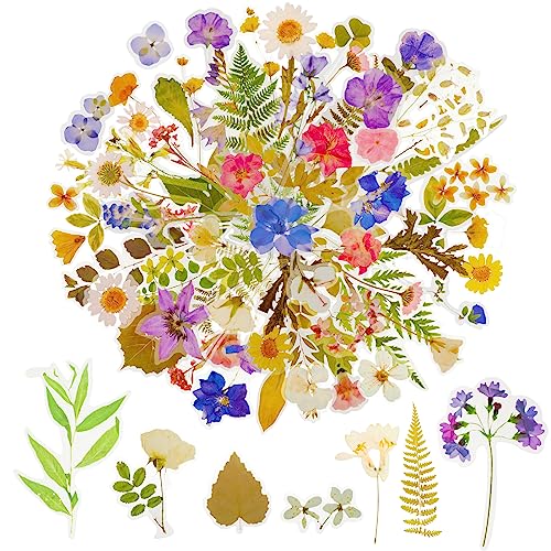 160 Stück Blumen Aufkleber Scrapbooking Pflanzen Sticker Dekoration, 80 Stile Naturthemen Stickers Blätter Deko Stickerbögen für Sammelalbum Planer Notizbuch Tagebuch Laptops 160 Stück Blumen Aufkleber Scrapbooking Pflanzen Sticker Dekoration, 80 Stile Naturthemen Stickers Blätter Deko Stickerbögen für Sammelalbum Planer Notizbuch Tagebuch Laptops von Abeillo
