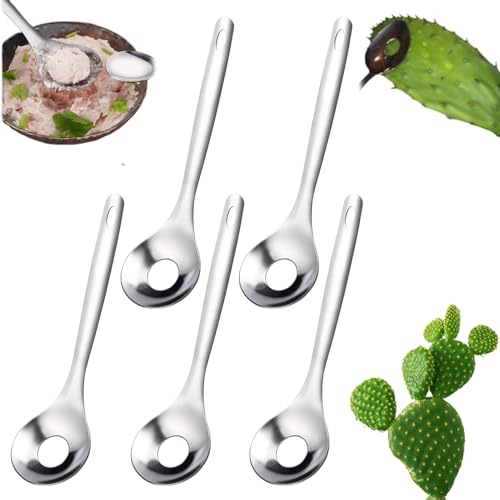 Abibiocy 5pcs Cactus schäbler Edelstahl Fleischbällchenschaufel Nicht-Stick-Fleischbällchenhersteller einfach Machen Schaufelmaschine mit langem Griff Nopale Peeler für Küchend Esskochen Kaktus Abibiocy 5pcs Cactus schäbler Edelstahl Fleischbällchenschaufel Nicht-Stick-Fleischbällchenhersteller einfach Machen Schaufelmaschine mit langem Griff Nopale Peeler für Küchend Esskochen Kaktus von Abibiocy