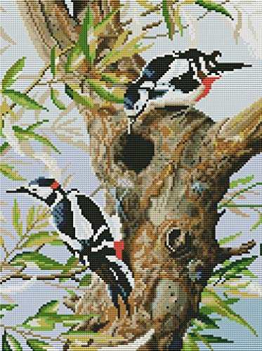 Abillyn Kreuzstich-Set, Motiv: Vögel auf Baum, mit aufgedrucktem Muster, Starter-Set (Vogel) von Abillyn