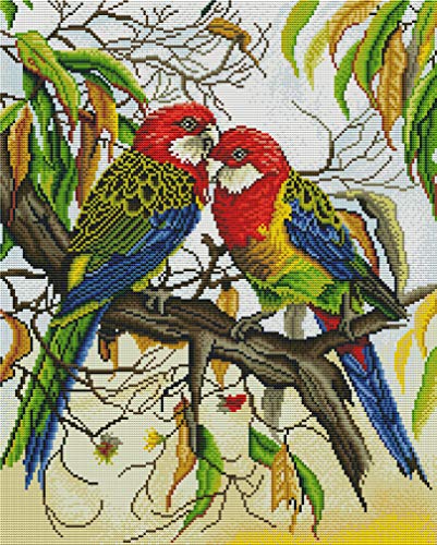 Abillyn Kreuzstich Stickpackungen Vorgedruckt, Zwei Papageien auf Ast Bilder Stickerei Set (Papageien) von Abillyn