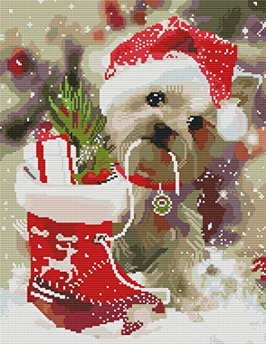 Abillyn Stickerei-Kreuzstich Kits Weihnachtsmütze Hund mit Geschenk gestempelt mit gedrucktem Muster Starter-Kit (Hund) von Abillyn