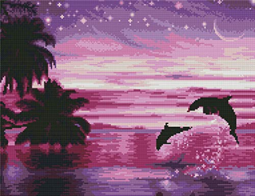 Abillyn Stickerei-Kreuzstich-Set, See-Nacht-Landschaft, Delphin, Sterne, Mond, gestempelt mit gedrucktem Muster, Starter-Set (Delfin) von Abillyn