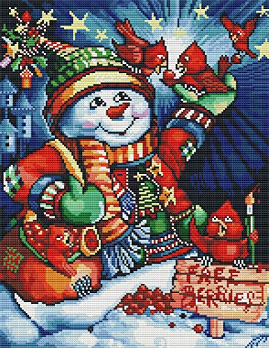 Abillyn Stickerei-Kreuzstich-Set, Weihnachten, Cartoon, Schneemann, Vögel, gestempelt mit bedrucktem Muster, Starter-Set (Weihnachten) von Abillyn