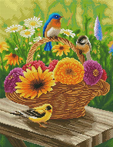 Abillyn Stickerei-Kreuzstich-Set, bunte Blumen, Korb und Vögel, gestempelt mit gedrucktem Muster, Starter-Set (Vögel) von Abillyn