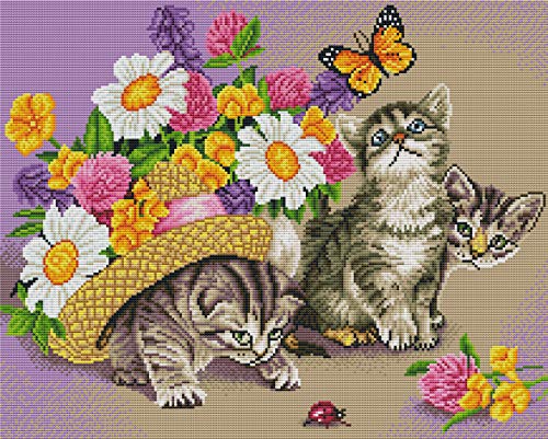 Abillyn Stickerei-Kreuzstich-Set, drei Kätzchen, mit aufgedrucktem Muster, Starter-Set (Kätzchen) von Abillyn