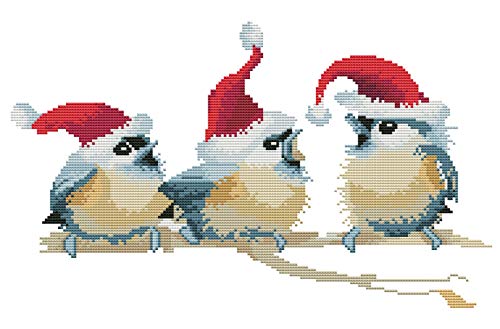 Abillyn Stickerei-Kreuzstich-Set, drei Vögel, Weihnachtsmützen, geprägt mit bedrucktem Muster, Starter-Set (Vögel) von Abillyn