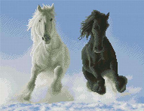 Abillyn Stickerei-Kreuzstich-Set, schwarze und weiße Pferde, mit aufgedrucktem Muster, Starter-Set (Pferde) von Abillyn