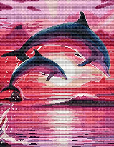 Abillyn Stickerei-Kreuzstich-Set, Delfine, Sonnenuntergang, Ozean, gestempelt mit gedrucktem Muster, Starter-Set (Delfine) von Abillyn