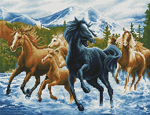 Abillyn Stickerei-Set, Motiv: laufende Pferde am Fluss, mit gedrucktem Muster, Starter-Set (Pferd) von Abillyn