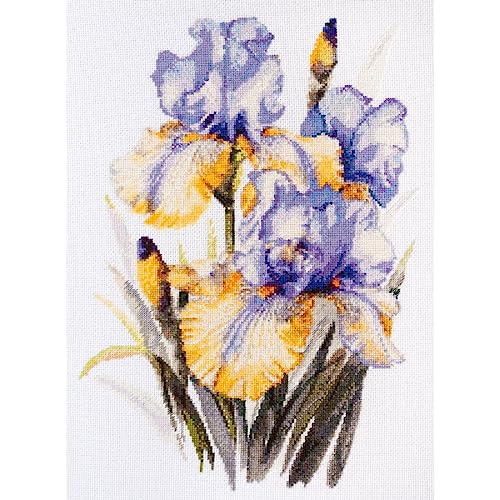 Abris Art AH-142 Kreuzstich Stickset, Baumwolle, mehrfarbig, 30x21cm Abris Art AH-142 Kreuzstich Stickset, Baumwolle, mehrfarbig, 30x21cm von Abris Art