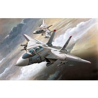 F-14 Tomcat von Academy Plastic Model