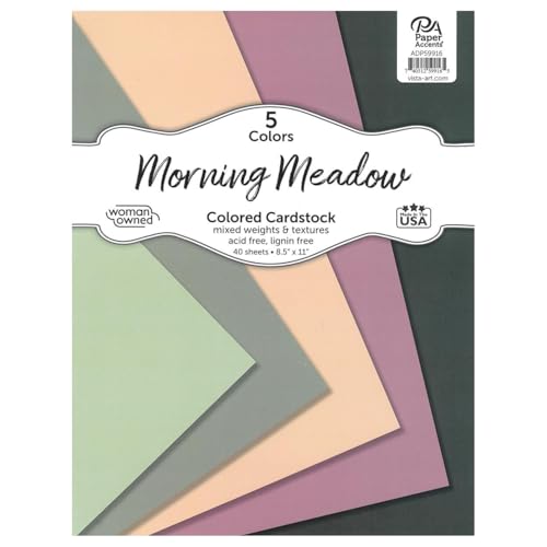 Accent Design Paper Accents Karton-Sortimentspackung, 21,6 x 27,9 cm, 40 Blatt – Farbiger Karton, Karton, Baupapier für Scrapbooking, Heimwerker und Kunstprojekte von Accent Design Paper Accents