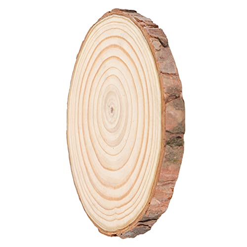 Runde Platten, Natürliche Holzkiefer, Sorgfältig gestaltete Runde Holzbretter für Handwerk, Mehrere Größen, Vielseitige Verwendung, Ideal für Gemälde, Untersetzer, Etiketten und Ornamente, (Typ 5 (8.3 von Acouto