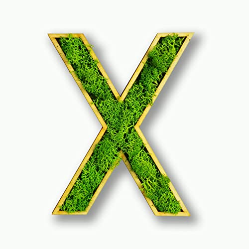 Acryltypo Moosly® Holzbuchstabe – X - mit Rahmen aus Holz, Moos Deko Buchstaben Zeichen Symbol Zahl - Holzbuchstabe mit echtem Islandmoos - Wandbilder Wohnzimmer Deko Wand Bilder Wohnzimmer Bilder von Acryltypo