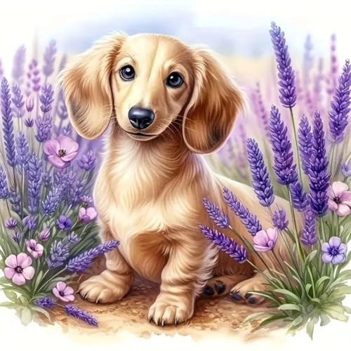 Acudotr Diamond Painting Erwachsene Set, 5D Hund Diamant Painting Kits Bilder für Erwachsene, DIY Diamant Malerei Diamond Art Kits Set für Wanddekor, 30x30cm von Acudotr