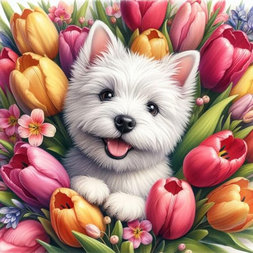 Acudotr Diamond Painting Erwachsene Set, Hund 5D Diamant Painting Kits Bilder für Erwachsene, DIY Diamant Malerei Diamond Art Kits Set für Wanddekor, 30x30cm Acudotr Diamond Painting Erwachsene Set, Hund 5D Diamant Painting Kits Bilder für Erwachsene, DIY Diamant Malerei Diamond Art Kits Set für Wanddekor, 30x30cm von Acudotr
