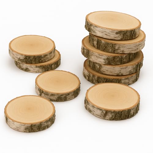 Birkenholzscheibe für DIY-Projekte & Dekoration – unbehandelt, gereinigt, naturbelassen, mit Rinde – ideal für Basteln, Gravieren, Hochzeiten & Wohnaccessoires (10er pack), 13-15cm 2cm von AddEco