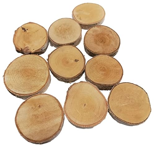 Birkenholzscheibe für DIY-Projekte & Dekoration – unbehandelt, gereinigt, naturbelassen, mit Rinde – ideal für Basteln, Gravieren, Hochzeiten & Wohnaccessoires (10er pack), 8-10cm 2cm von AddEco