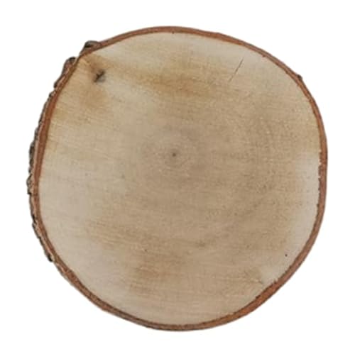 Birkenholzscheibe für DIY-Projekte & Dekoration – unbehandelt, gereinigt, naturbelassen, mit Rinde – ideal für Basteln, Gravieren, Hochzeiten & Wohnaccessoires (15er pack), 13-15cm 2cm von AddEco