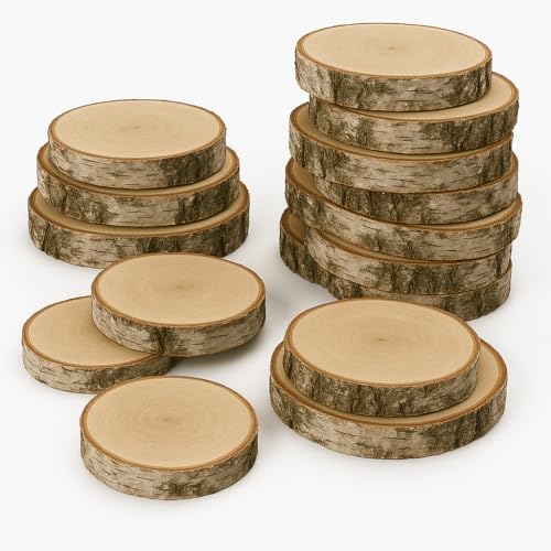 Birkenholzscheibe für DIY-Projekte & Dekoration – unbehandelt, gereinigt, naturbelassen, mit Rinde – ideal für Basteln, Gravieren, Hochzeiten & Wohnaccessoires (15er pack), 20-24cm 3cm von AddEco
