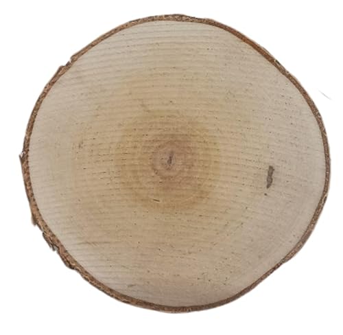 Birkenholzscheibe für DIY-Projekte & Dekoration – unbehandelt, gereinigt, naturbelassen, mit Rinde – ideal für Basteln, Gravieren, Hochzeiten & Wohnaccessoires (1er pack), 10-12cm 2cm von AddEco