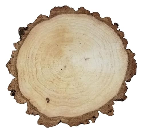 Birkenholzscheibe für DIY-Projekte & Dekoration – unbehandelt, gereinigt, naturbelassen, mit Rinde – ideal für Basteln, Gravieren, Hochzeiten & Wohnaccessoires (1er pack), 13-15cm 2cm von AddEco