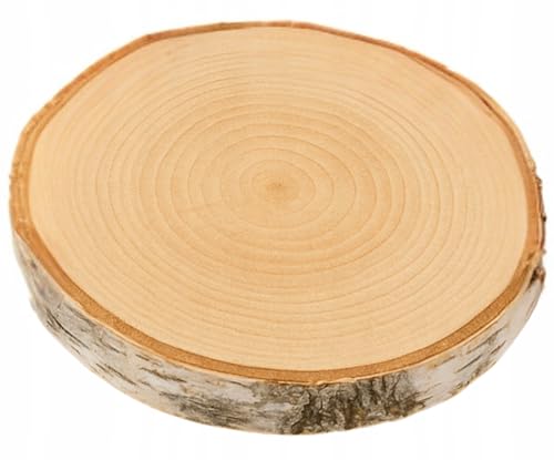 Birkenholzscheibe für DIY-Projekte & Dekoration – unbehandelt, gereinigt, naturbelassen, mit Rinde – ideal für Basteln, Gravieren, Hochzeiten & Wohnaccessoires (1er pack), 16-20cm 2cm von AddEco