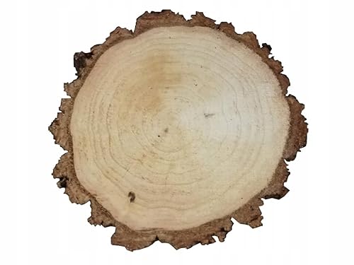 Birkenholzscheibe für DIY-Projekte & Dekoration – unbehandelt, gereinigt, naturbelassen, mit Rinde – ideal für Basteln, Gravieren, Hochzeiten & Wohnaccessoires (1er pack), 20-24cm 3cm von AddEco