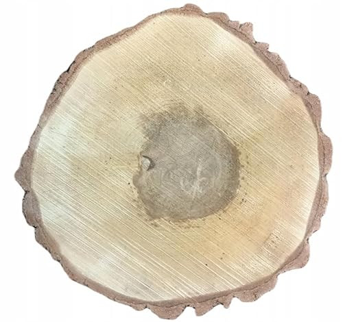 Birkenholzscheibe für DIY-Projekte & Dekoration – unbehandelt, gereinigt, naturbelassen, mit Rinde – ideal für Basteln, Gravieren, Hochzeiten & Wohnaccessoires (1er pack), 53-60cm 5cm von AddEco