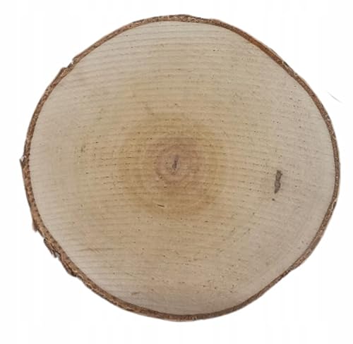 Birkenholzscheibe für DIY-Projekte & Dekoration – unbehandelt, gereinigt, naturbelassen, mit Rinde – ideal für Basteln, Gravieren, Hochzeiten & Wohnaccessoires (20er pack), 10-12cm 2cm von AddEco