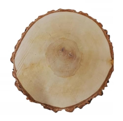 Birkenholzscheibe für DIY-Projekte & Dekoration – unbehandelt, gereinigt, naturbelassen, mit Rinde – ideal für Basteln, Gravieren, Hochzeiten & Wohnaccessoires (4er pack), 32-37cm 4cm von AddEco