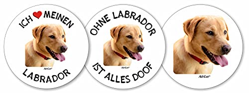 AdriLeo - Runde Aufkleber 3er-Set - Blonder Labrador Retriever - Deko Autoaufkleber Sticker Hund von AdriLeo