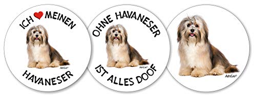 AdriLeo - Runde Aufkleber 3er-Set - Havaneser - Deko Autoaufkleber Sticker Hund von AdriLeo