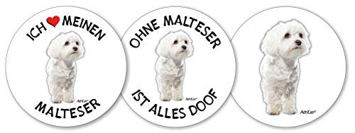 AdriLeo - Runde Aufkleber 3er-Set - Malteser - Deko Autoaufkleber Sticker Hund von AdriLeo