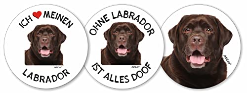 AdriLeo - Runde Aufkleber 3er-Set - brauner Labrador Retriever - Deko Autoaufkleber Sticker Hund von AdriLeo