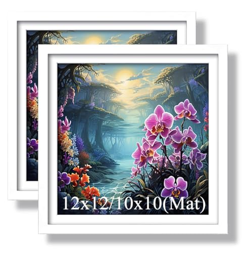 Aeadar Diamond Painting Bilderrahmen, geeignet für 30 x 30 cm Diamant-Malerei und Foto, Diamant-Kunst-Holzrahmen mit Matte, Diamant-Malerei, Leinwand, Bild, Wand-Displays (2 Stück, weiß) von Aeadar