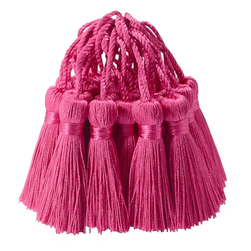 30 Stück Mini Seidige Quasten Anhänger Basteln Klein Stoff Hängend Zubehör für DIY Lesezeichen Frau Schmuck Schlüssel Kett Tasch Vorhang Personalisiert Hochzeit Geschenk Deko (Dunkel Rosa) von AebDerp