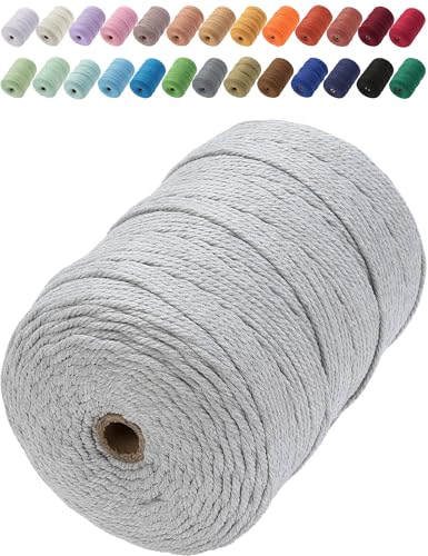 Aelfon Makramee-Schnur, 3 mm x 300 m, natürliche Baumwollkordel, farbiges Makramee-Seil, Makramee-Zubehör, Makramee-Baumwollseil, weiches Bastelseil, Makramee-Garn für Pflanzenaufhänger, Wandaufhänger Aelfon Makramee-Schnur, 3 mm x 300 m, natürliche Baumwollkordel, farbiges Makramee-Seil, Makramee-Zubehör, Makramee-Baumwollseil, weiches Bastelseil, Makramee-Garn für Pflanzenaufhänger, Wandaufhänger von Aelfon
