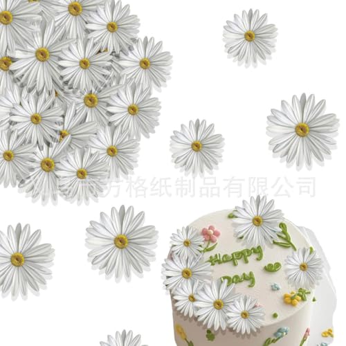 Affivia Essbare Gänseblümchen Tortendeko, 65 Stück, Weiße Blüten für Kuchen, Backen Affivia Essbare Gänseblümchen Tortendeko, 65 Stück, Weiße Blüten für Kuchen, Backen von Affivia