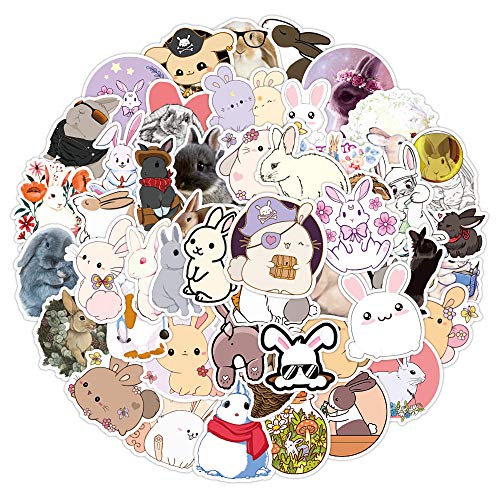 Kaninchen-Aufkleber für Laptop (50 Stück), Geschenk für Kinder, Jugendliche, Erwachsene, Jungen, Anime, niedliche Hasen-Aufkleber für Wasserflasche, Cartoon, Scrapbook, Skateboard von Affoto