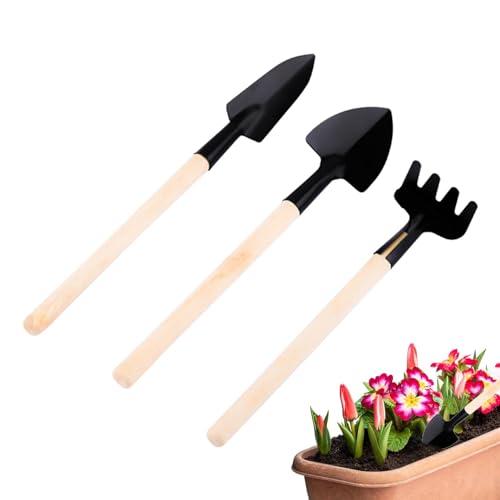 Afurl -Sukkulenten-Werkzeugset, Gartenwerkzeug-Set | Kleines Sukkulenten-Werkzeugset,Garten-Pflanzgefäß-Set, Sukkulenten-Werkzeuge, Gartenschaufel-Rechen, Afurl -Sukkulenten-Werkzeugset, Gartenwerkzeug-Set | Kleines Sukkulenten-Werkzeugset,Garten-Pflanzgefäß-Set, Sukkulenten-Werkzeuge, Gartenschaufel-Rechen, von Afurl