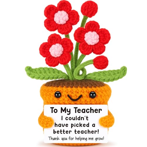 Agantree art Gewebte Bouquet-Puppe "I Couldn't Have Picked a Better Teacher" – Handgefertigtes Blumengeschenk mit Karte zum Aufwachsen – Geschenk für Pädagogen von Agantree art